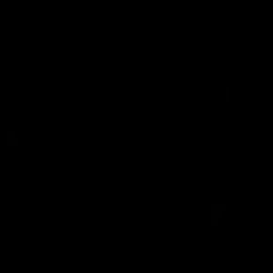 Meet your Posher, Xavier